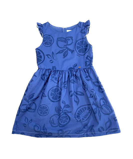Blue Dress with Fruit Prints